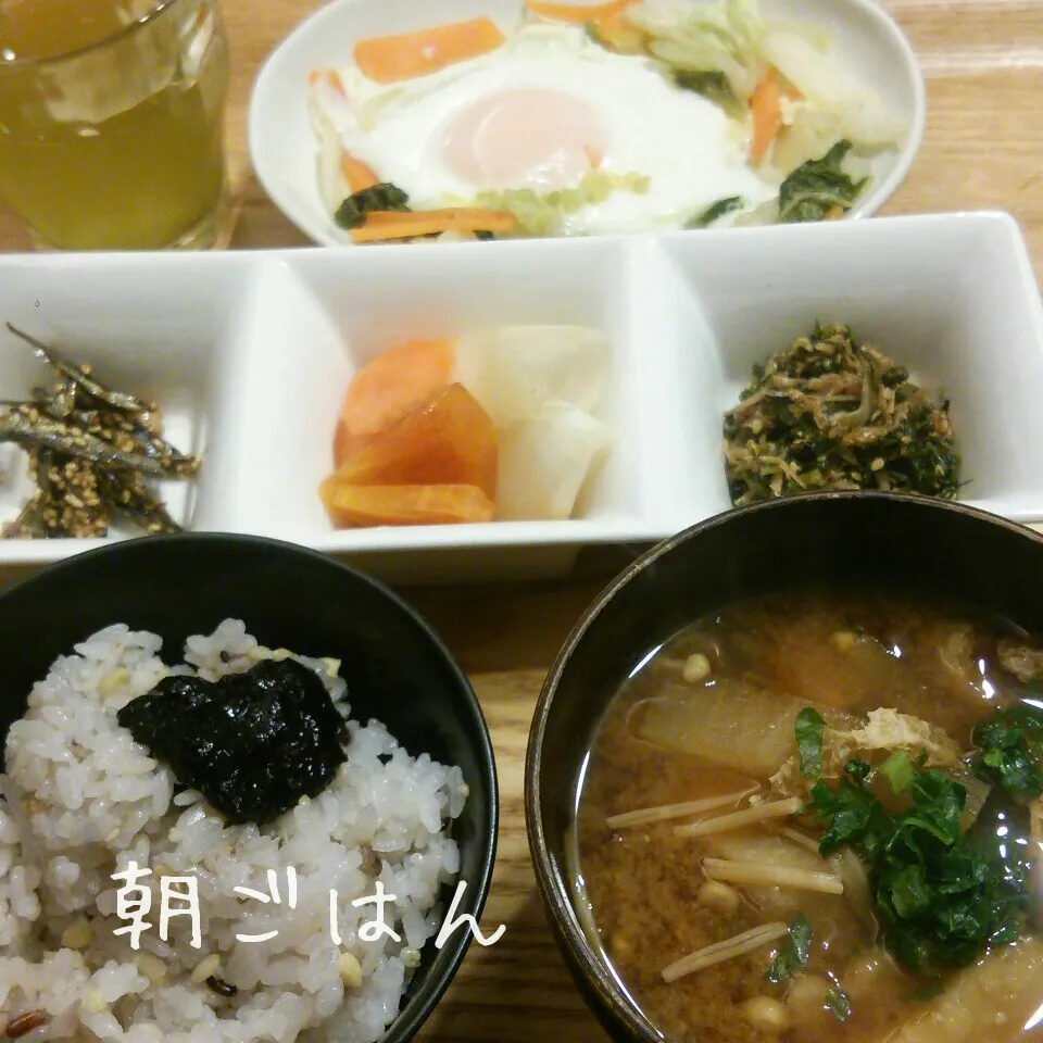 朝*2016.12.19|ささなおさん