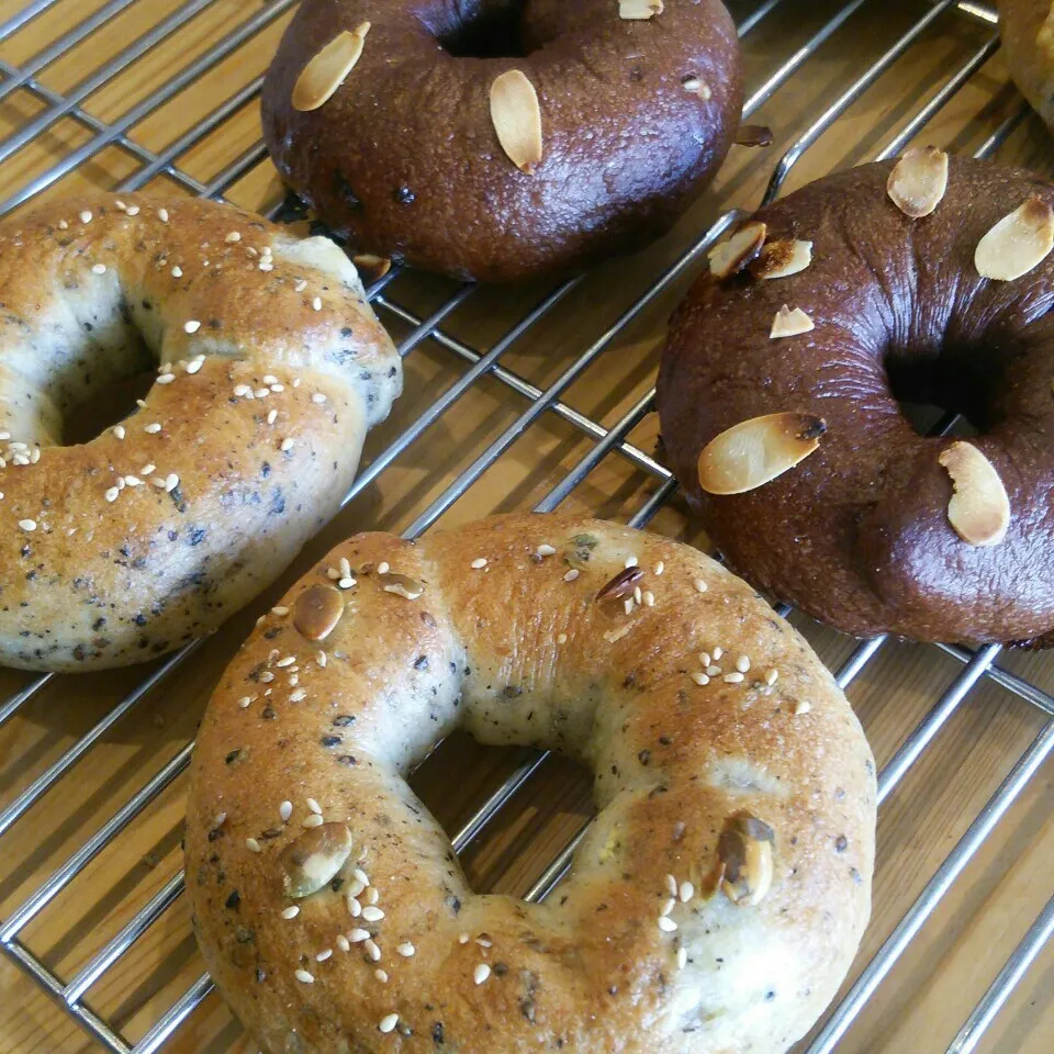 ベーグル（ダーシェンカ）|ささなおさん