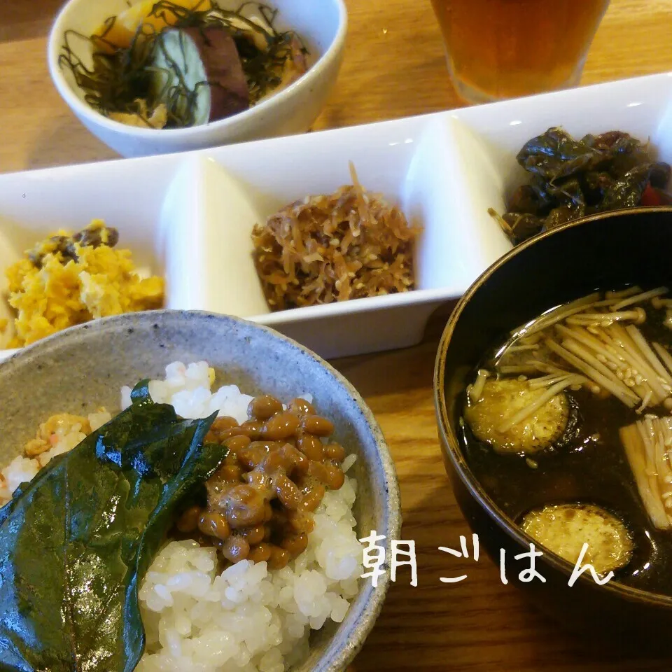 朝*2016.9.8|ささなおさん