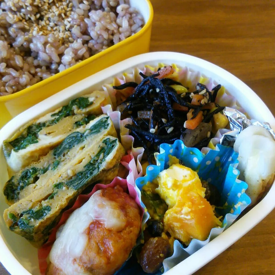 夫弁*2016.4.28|ささなおさん