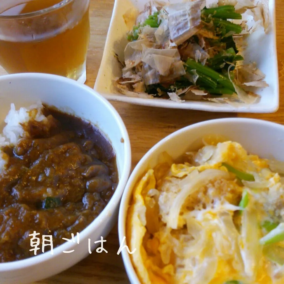 朝*2016.4.23|ささなおさん