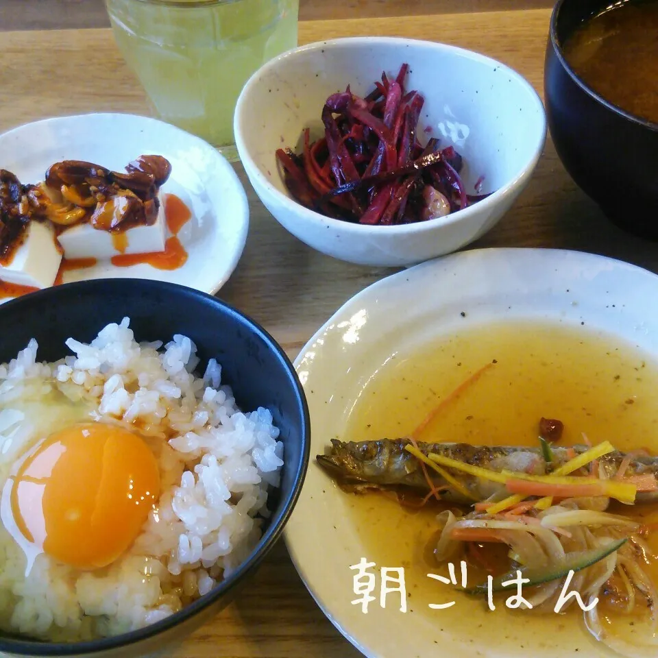 朝*2016.4.3|ささなおさん