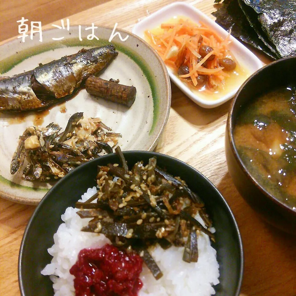 朝*2016.3.25|ささなおさん