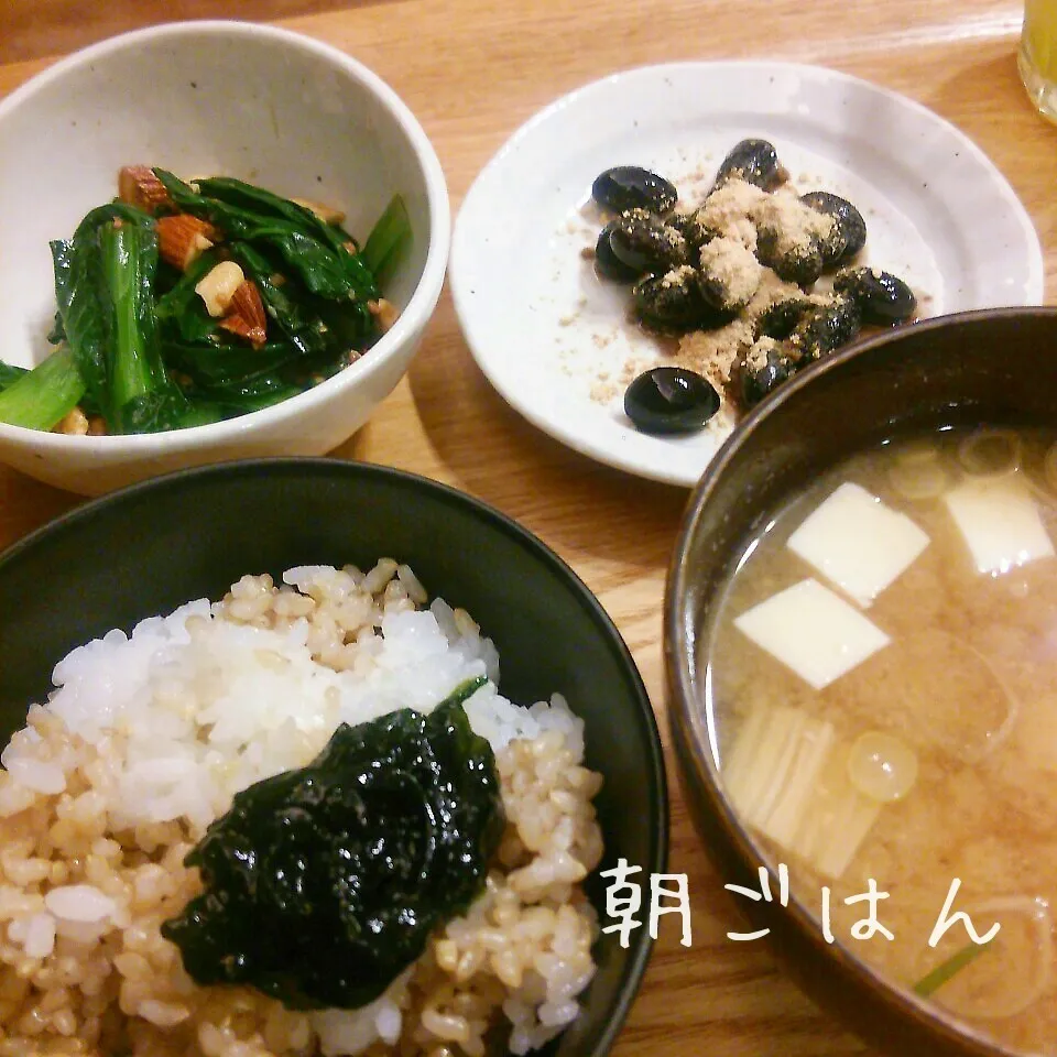 朝*2016.2.4|ささなおさん