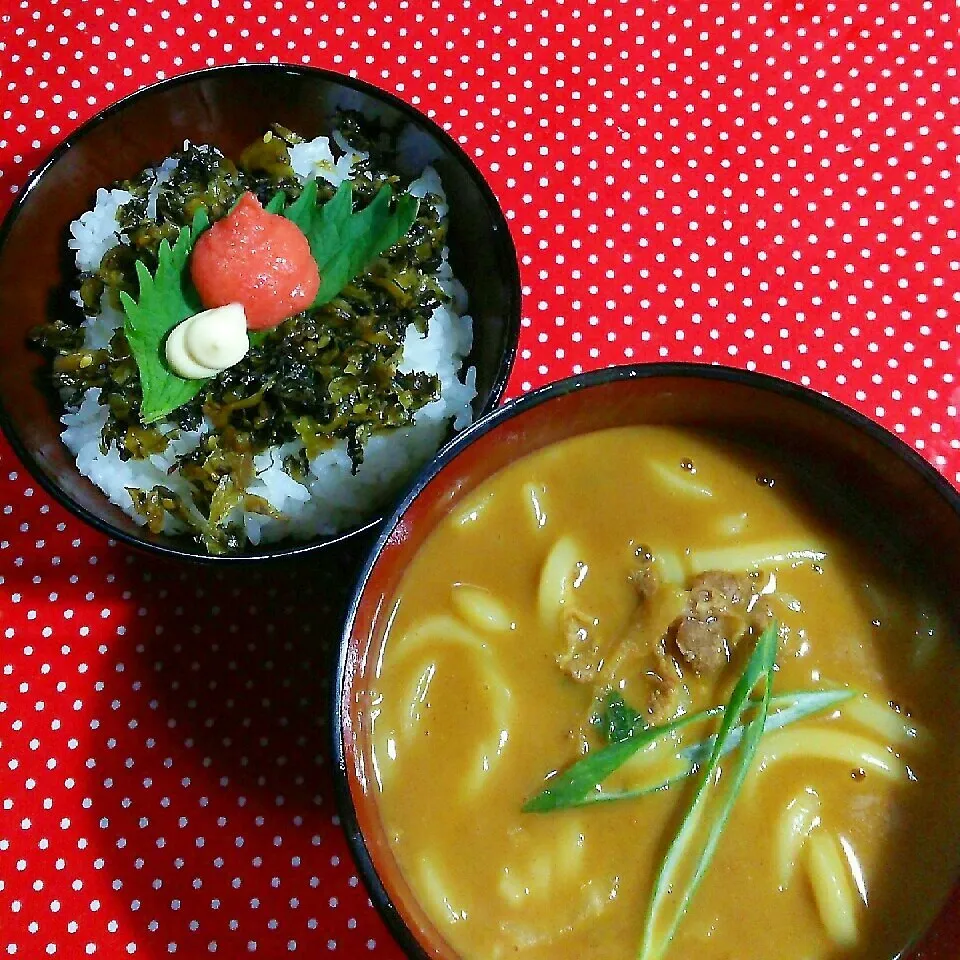 高菜めんたいご飯とカレーうどん‼|katsunさん