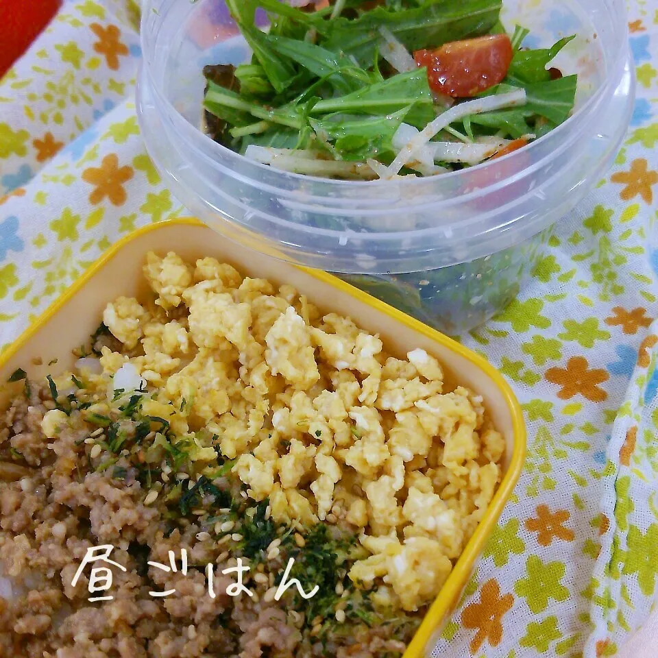 昼*2015.12.18|ささなおさん