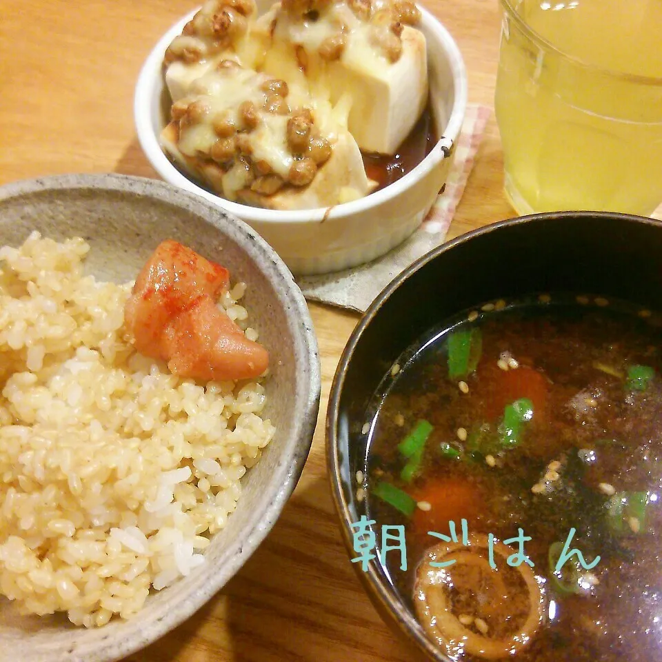 朝*2015.11.13|ささなおさん