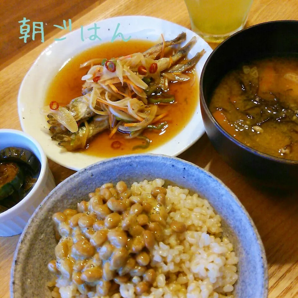 朝*2015.7.9|ささなおさん