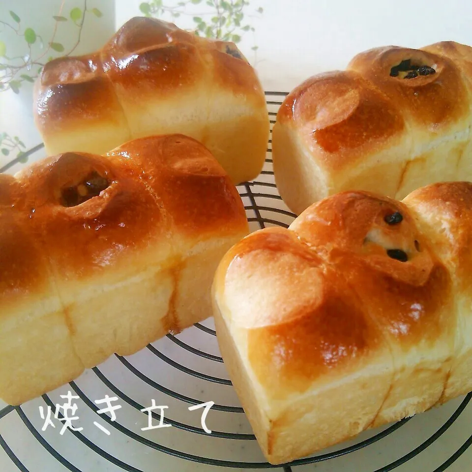 ホテルブレッド|ささなおさん