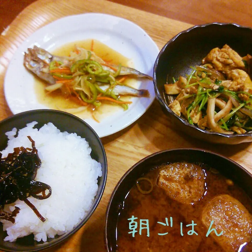 朝*2015.5.19|ささなおさん