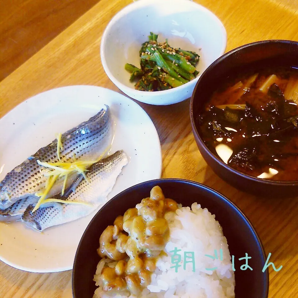 朝*2015.4.30|ささなおさん