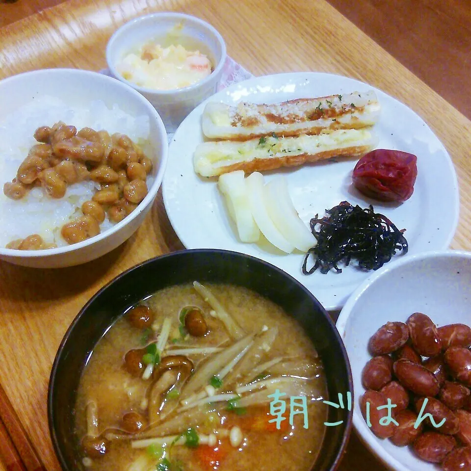 朝*2015.3.11|ささなおさん