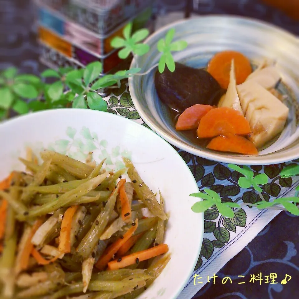 たけのことニンジンとふきのきんぴらとたけのこの煮物♬|おれくっしゃんさん