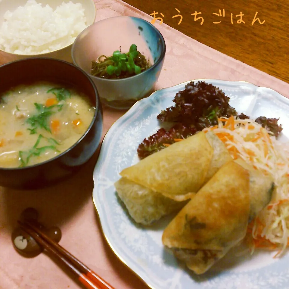 Snapdishの料理写真:今日の晩御飯は春巻き〜～♬|おれくっしゃんさん