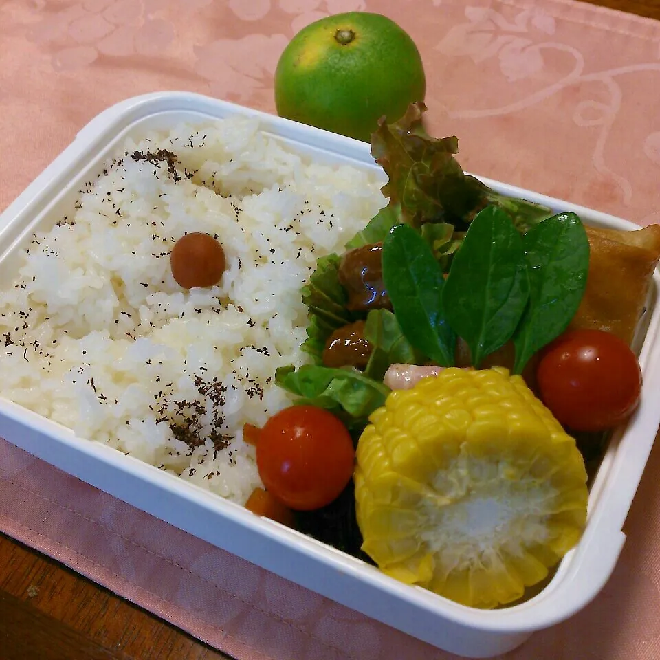 今日のお弁当〜～初物みかん付き♬|おれくっしゃんさん