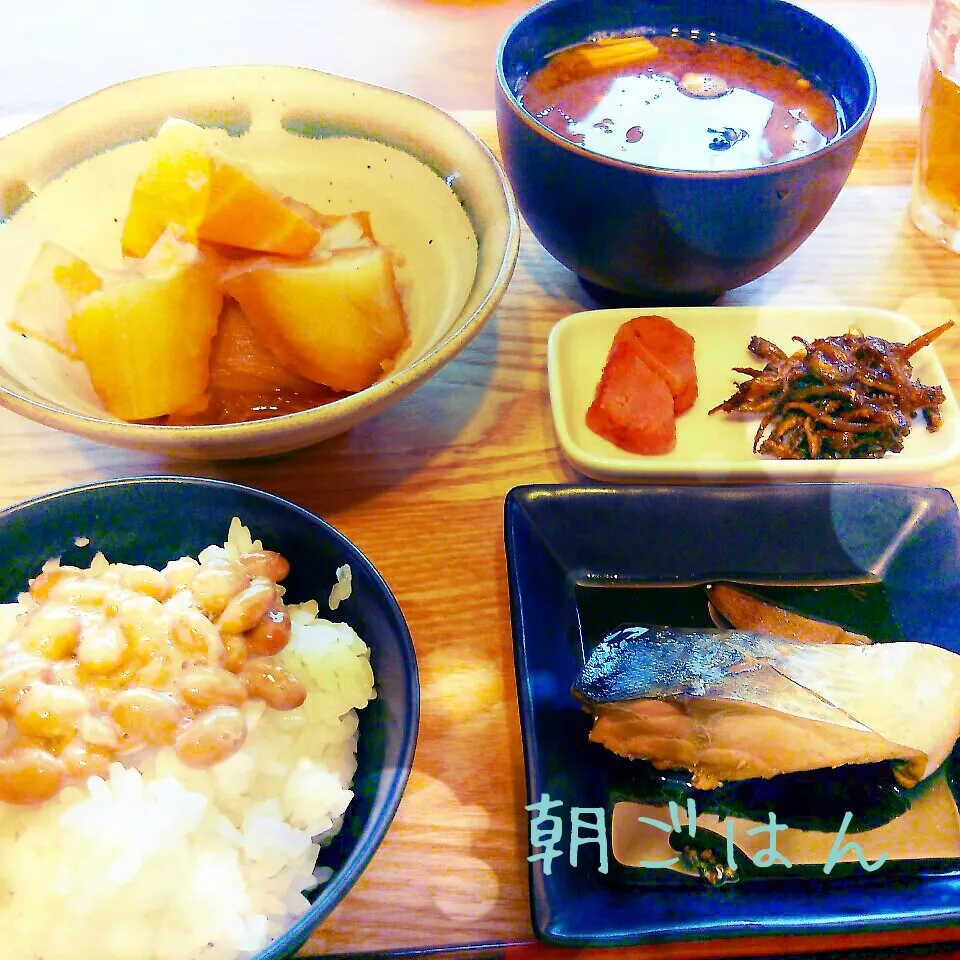 朝*2014.6.17|ささなおさん