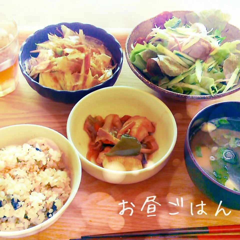 昼*2014.6.3|ささなおさん