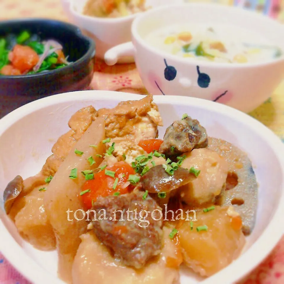 馬肉と根菜の煮物。|tonaさん