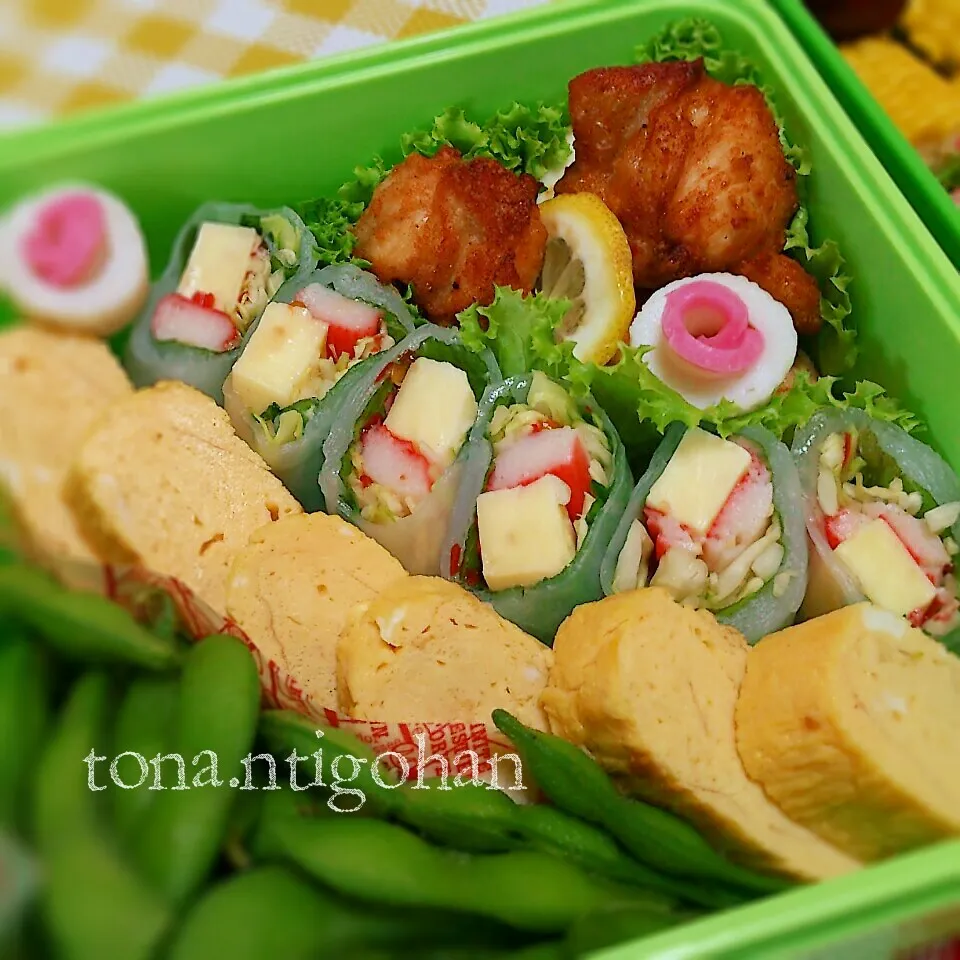 娘運動会弁当①|tonaさん