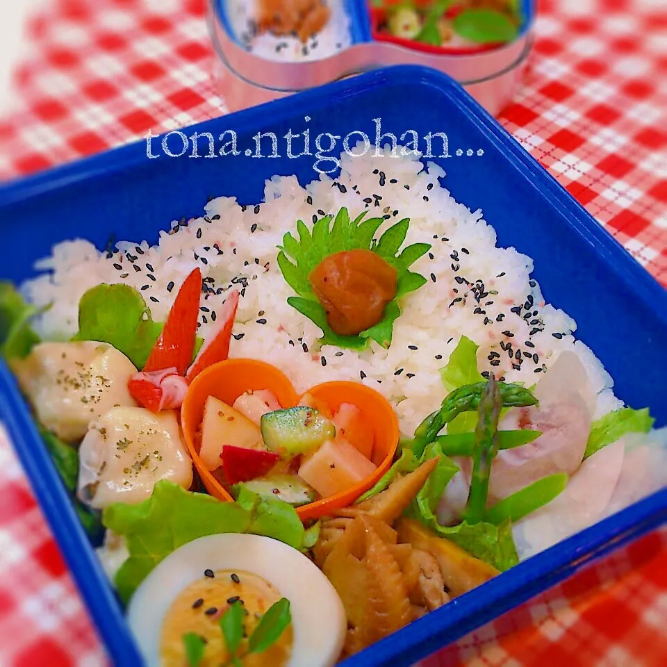 Snapdishの料理写真:息子お弁当|tonaさん