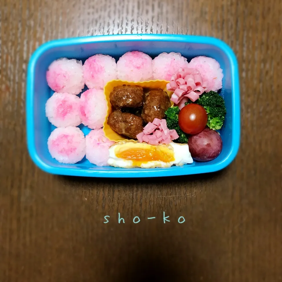 11/22(木) お弁当|sho-koさん