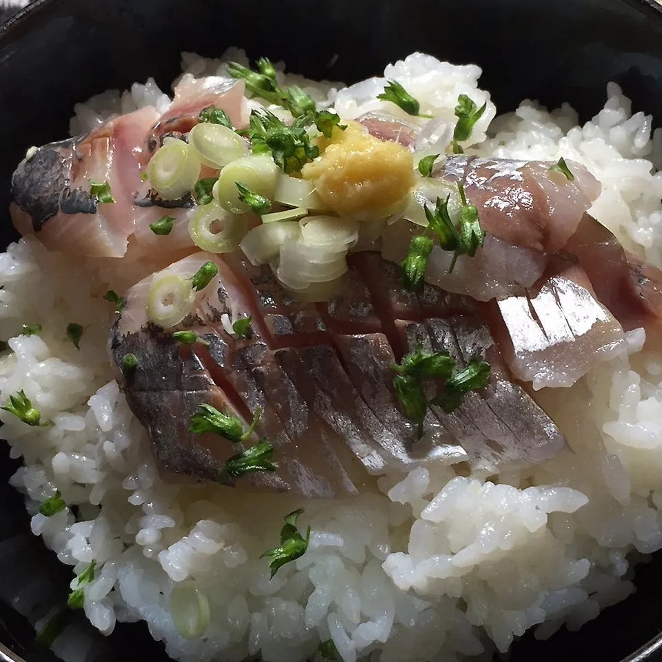 鰺丼♡|Makokoさん