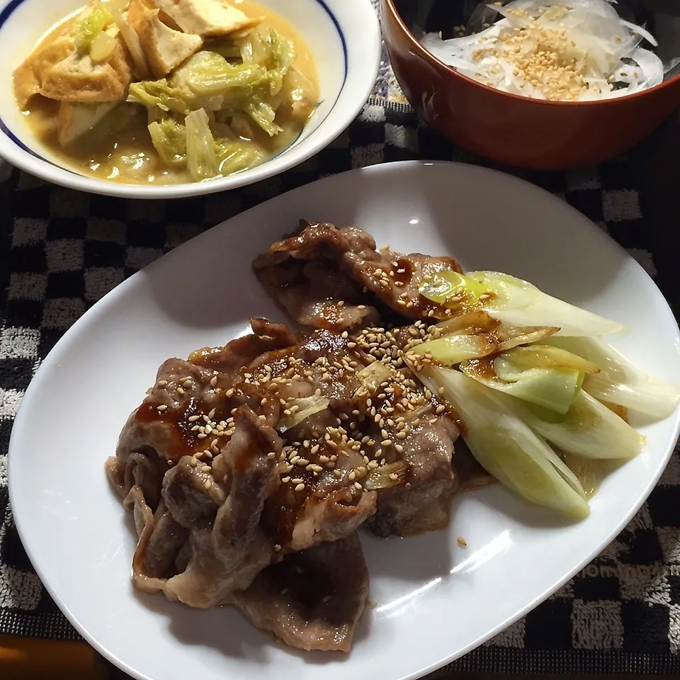 焼肉、厚揚キャベツ煮、玉葱酢、鰯丸干。|Makokoさん