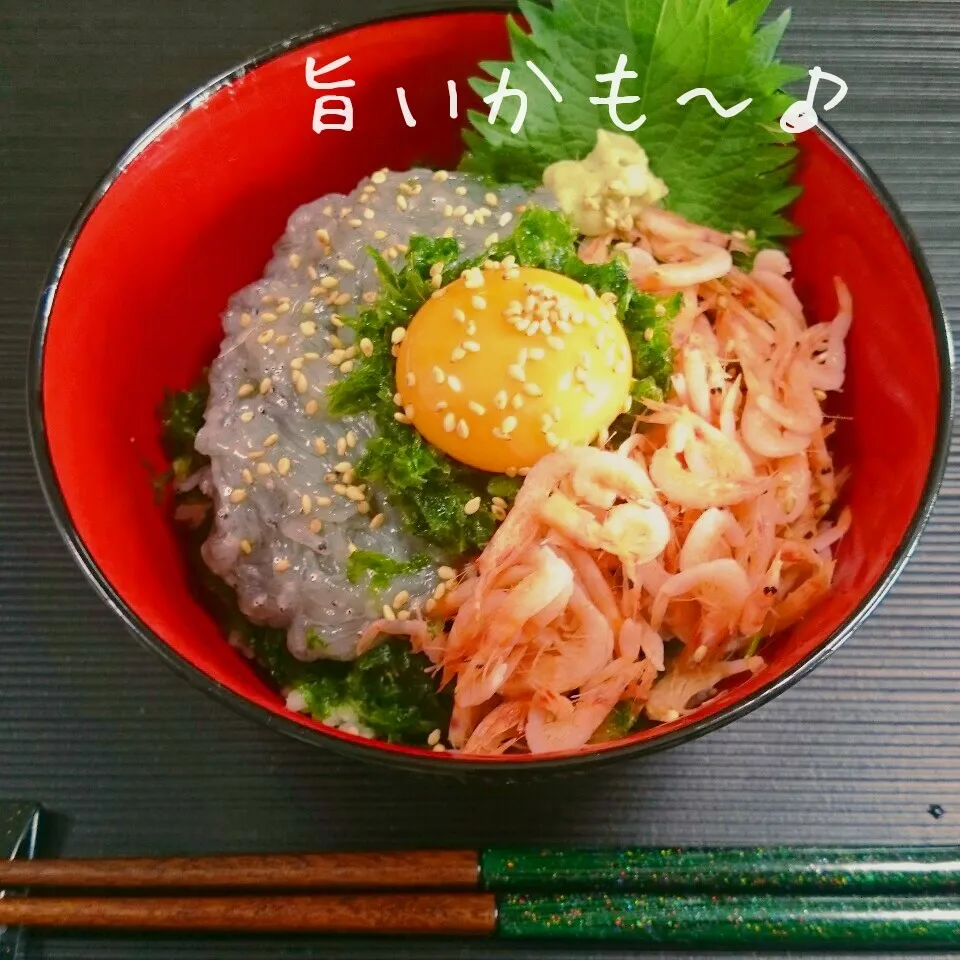 生しらすと釜揚げ桜えびと青海苔丼|マイケルの料理さん