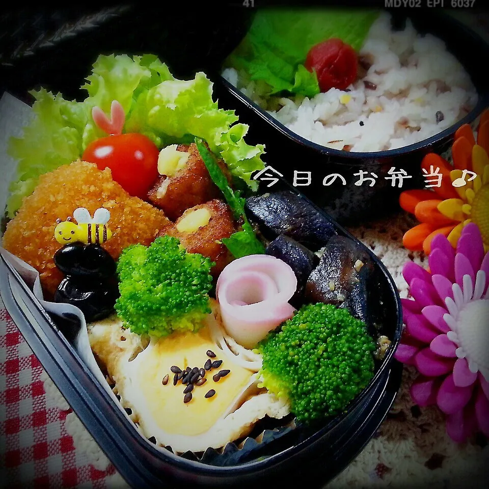 Snapdishの料理写真:今日のお弁当～玉子の巾着煮&茄子の味噌煮♪|つばさ(nao)さん