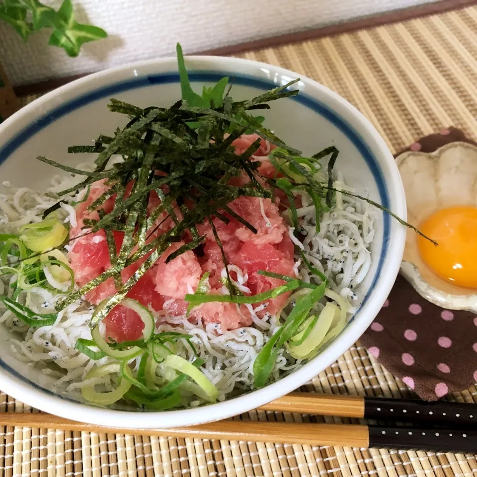 Snapdishの料理写真:ネギトロ丼|kazumi_a♡さん