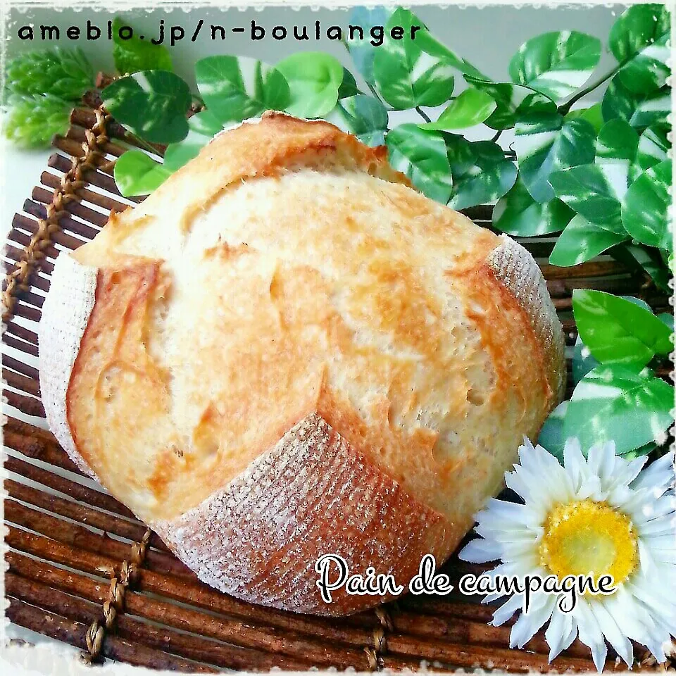 Snapdishの料理写真:今日の酵母ﾊﾟﾝ～ Pain de campagne♪|つばさ(nao)さん