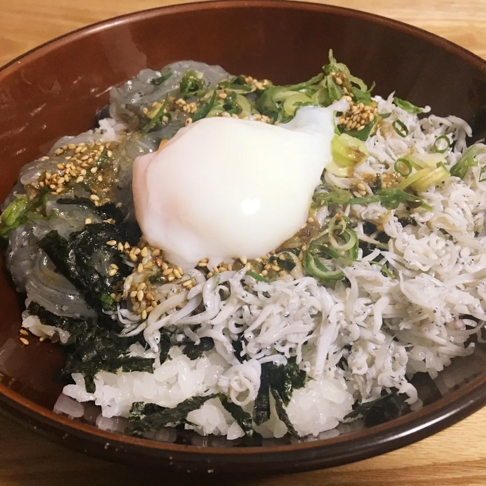 2種類のしらす丼|まぁたんさん