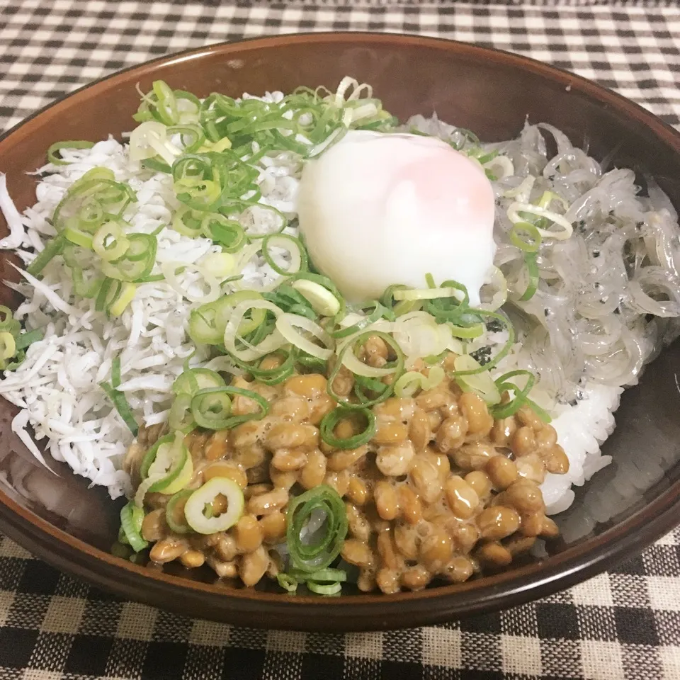 2色のしらすと納豆丼|まぁたんさん