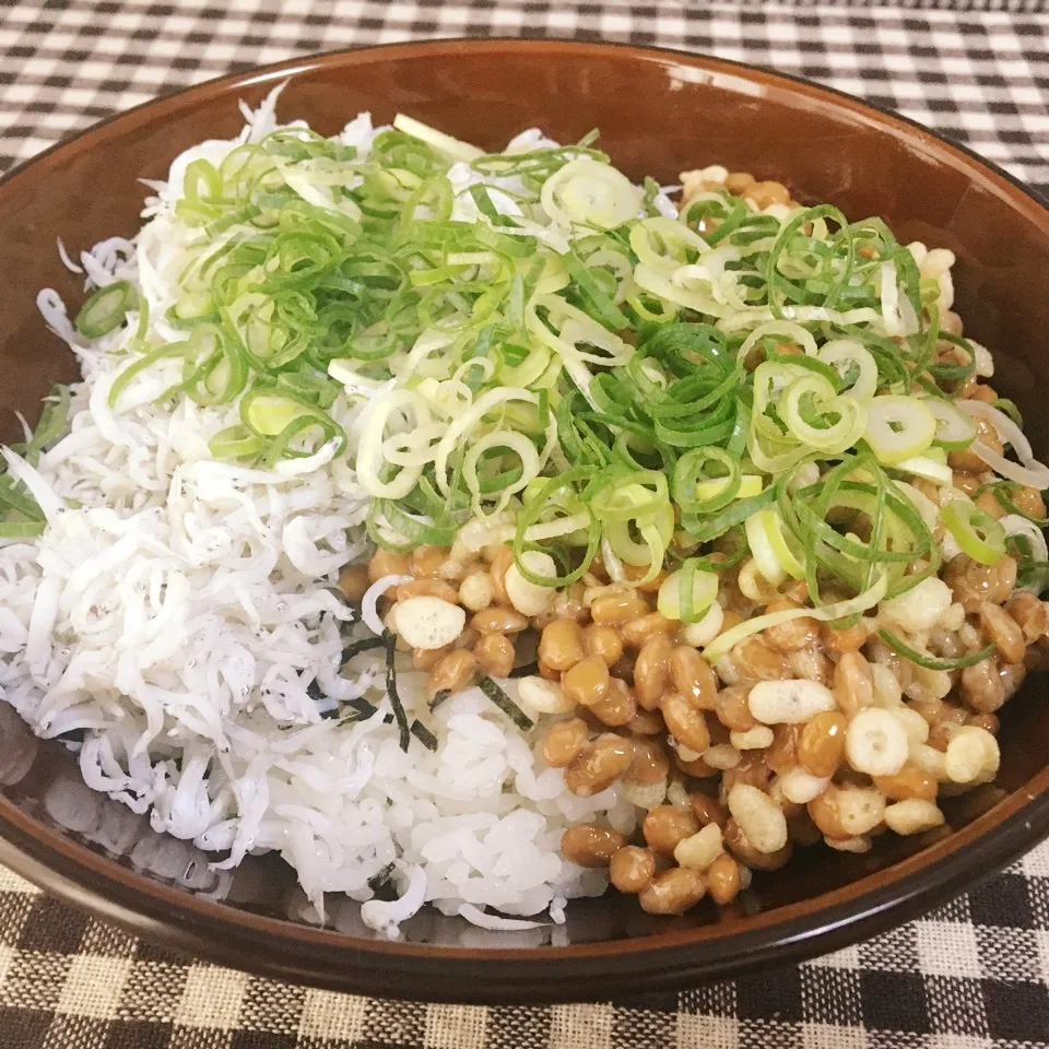 【定番】しらす納豆ご飯|まぁたんさん