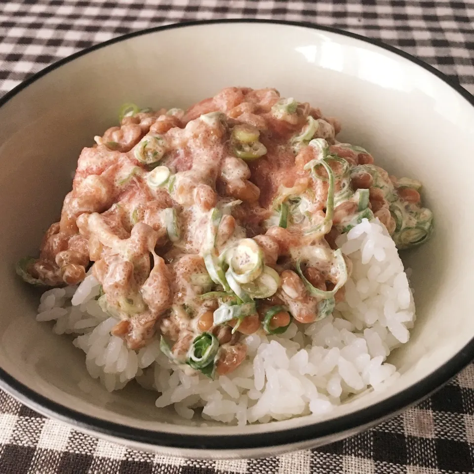 【飯研】明太子マヨ納豆ご飯|まぁたんさん