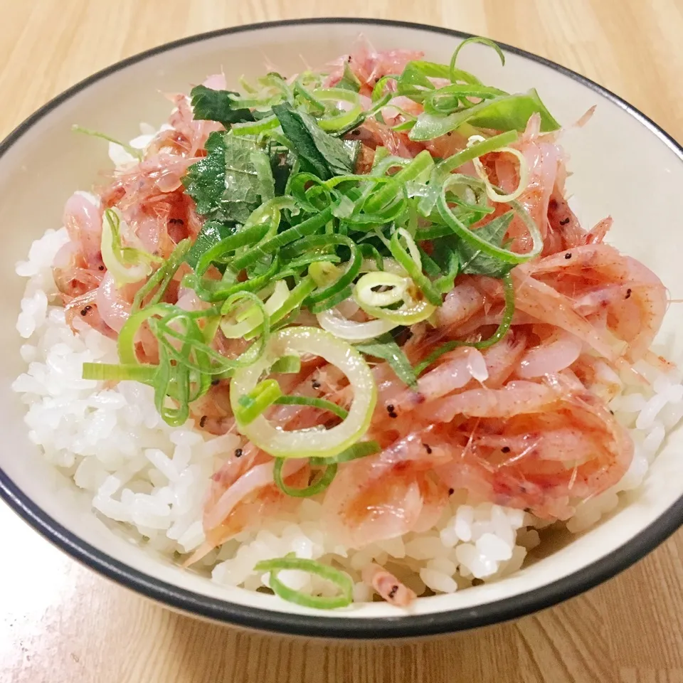 【飯研】桜えびご飯|まぁたんさん