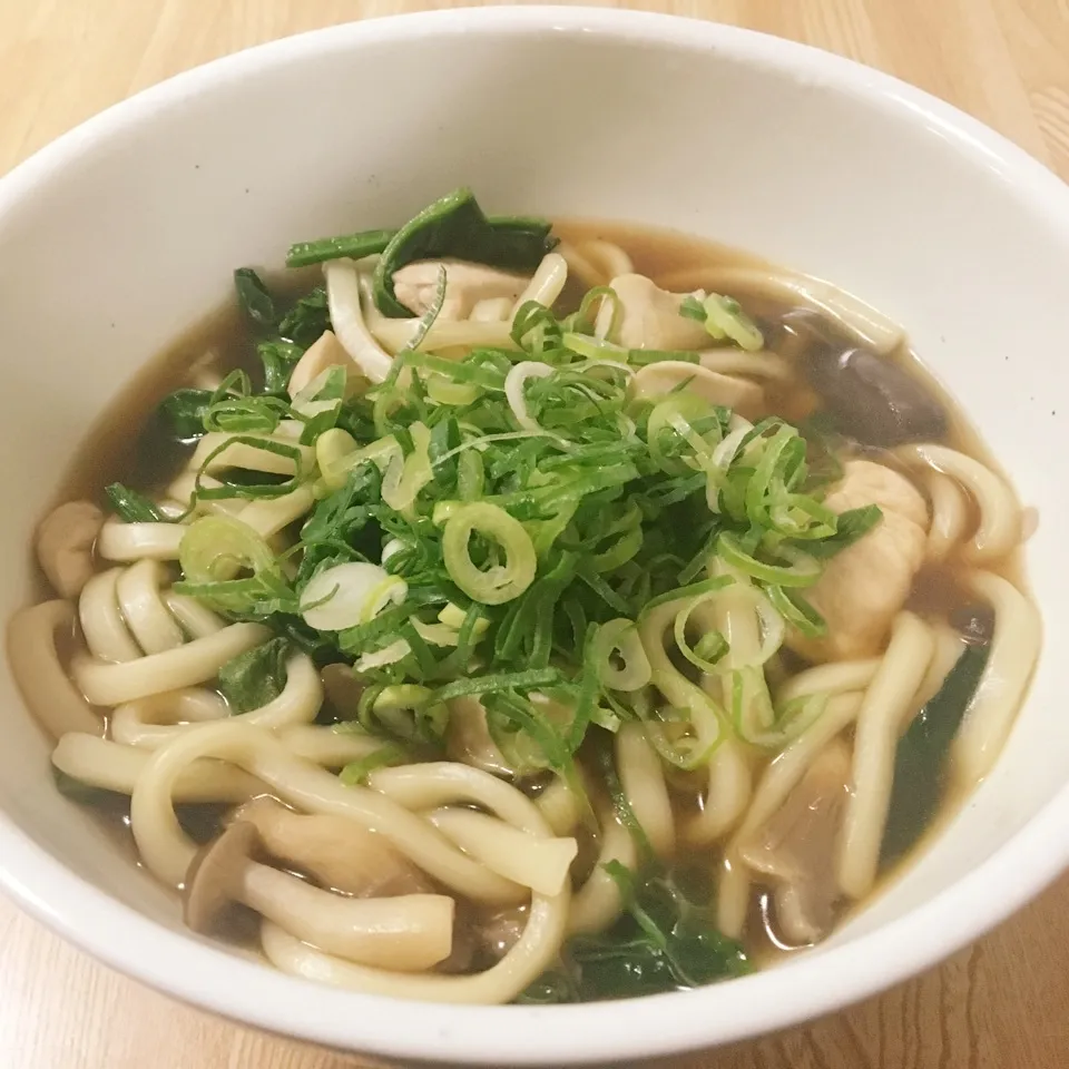 鶏肉ときのこのうどん|まぁたんさん