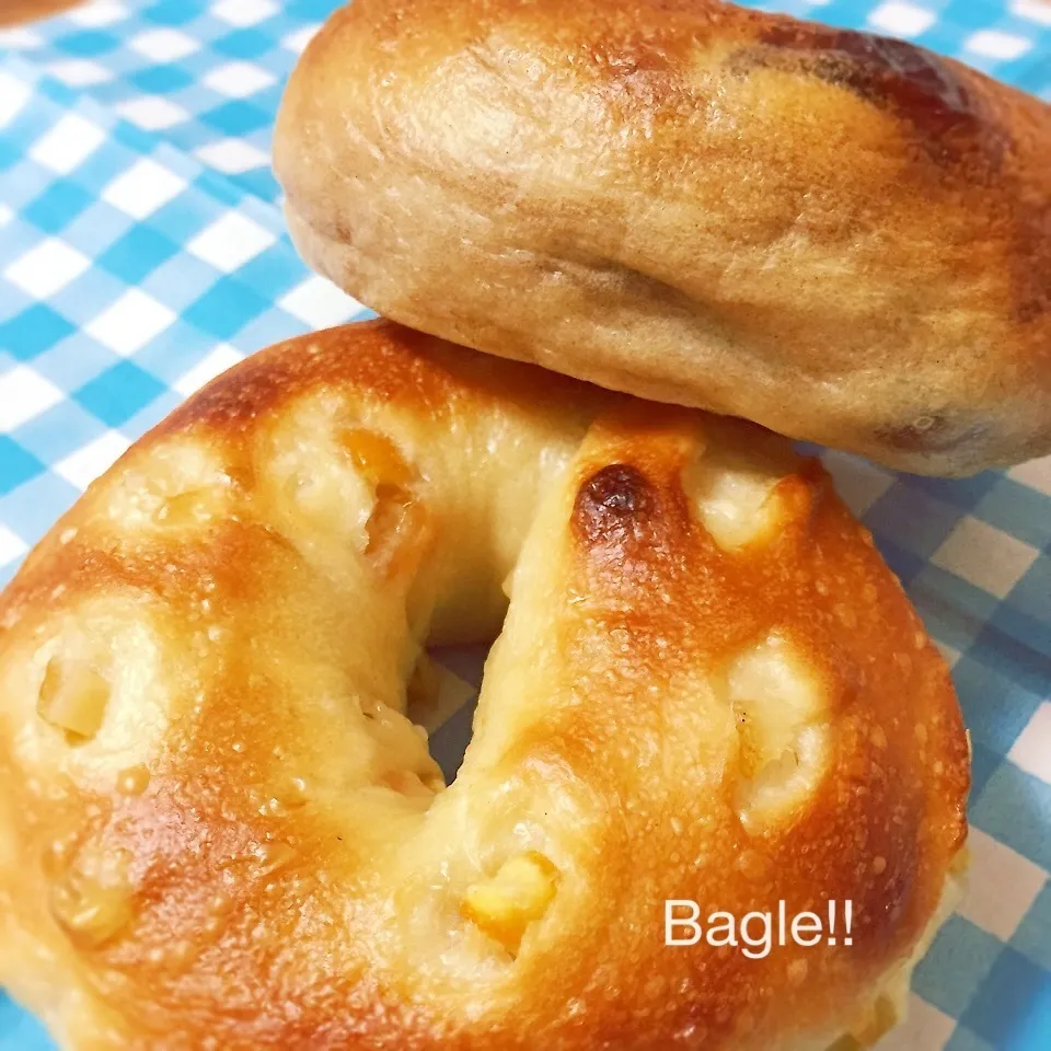 ＊bagel♡1週間健診＊|ultramarineさん