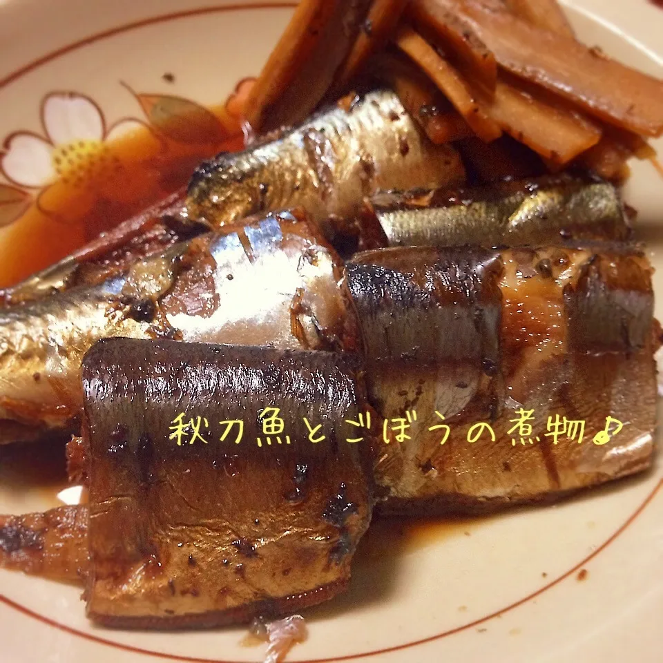 Snapdishの料理写真:＊こっくり＆さっぱり。秋刀魚とごぼうの煮物♪＊|ultramarineさん