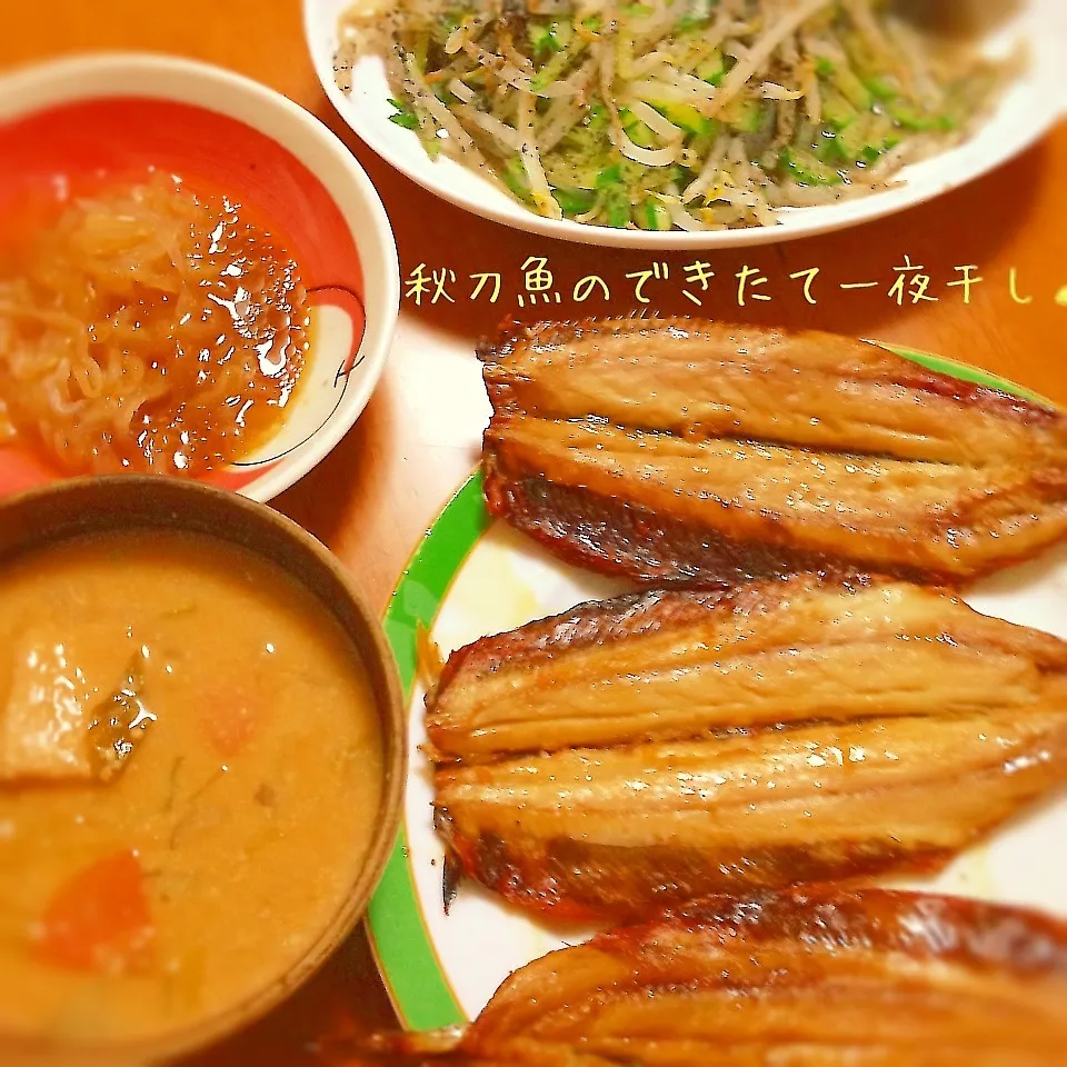 Snapdishの料理写真:＊できたて秋刀魚の一夜干し☆＊|ultramarineさん