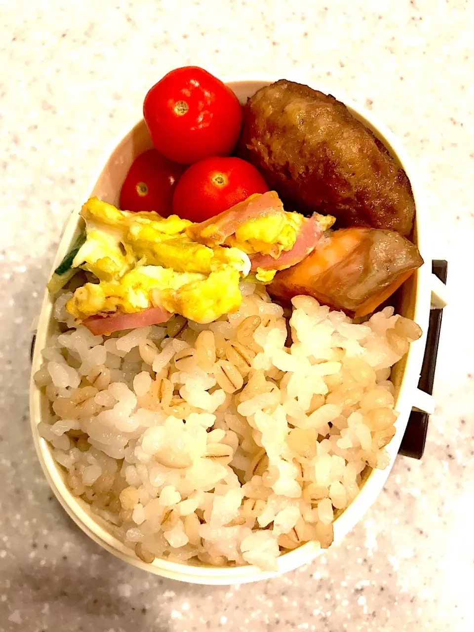 Snapdishの料理写真:2018,11,23 自分用お弁当
#焼き鮭
#ハンバーグ
#ベーコンとレタスのスクランブルエッグ
#プチトマト|ATSUMIさん