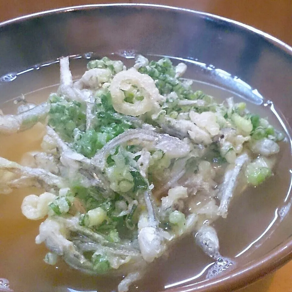 お気に入りのリサイクルかき揚げうどん|mi_neneco♪さん