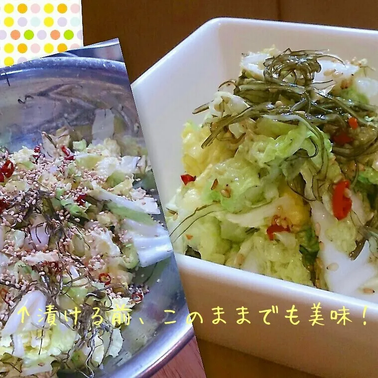 Snapdishの料理写真:白菜の刻み昆布のピリ辛浅漬け|mi_neneco♪さん