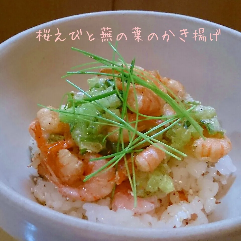 桜えびの炊き込みご飯de桜えびのかき揚げ丼|mi_neneco♪さん