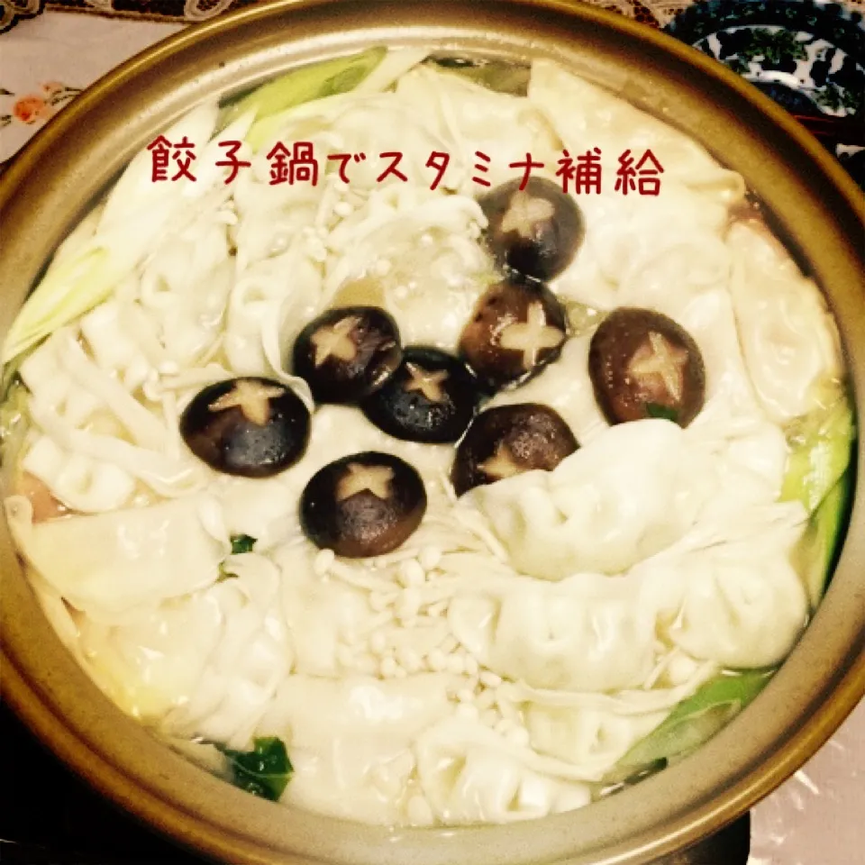 餃子鍋でスタミナ補給|みぃママさん