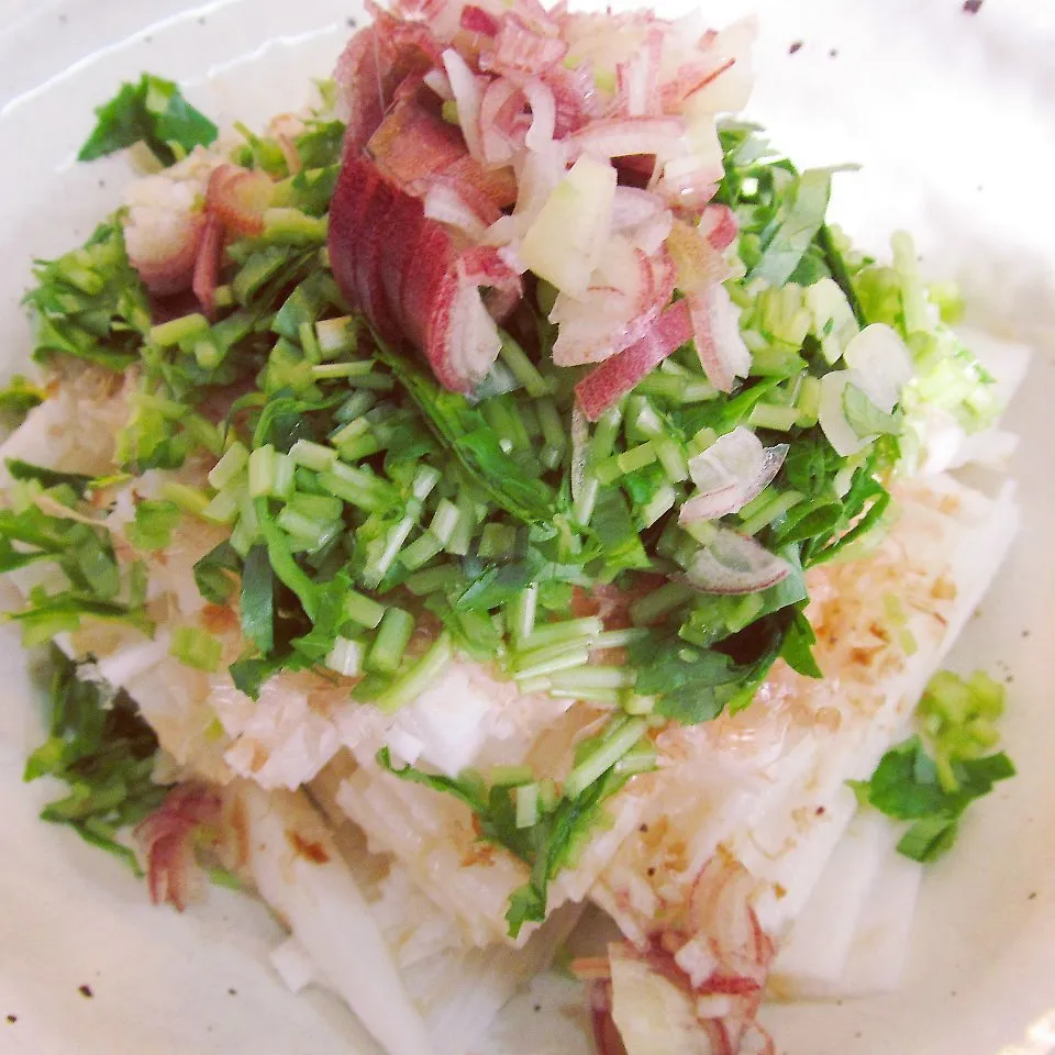 夏の野菜の和風サラダ♪　山芋…ミョウガ…水菜…三つ葉…|cozy-cozy-kojiさん