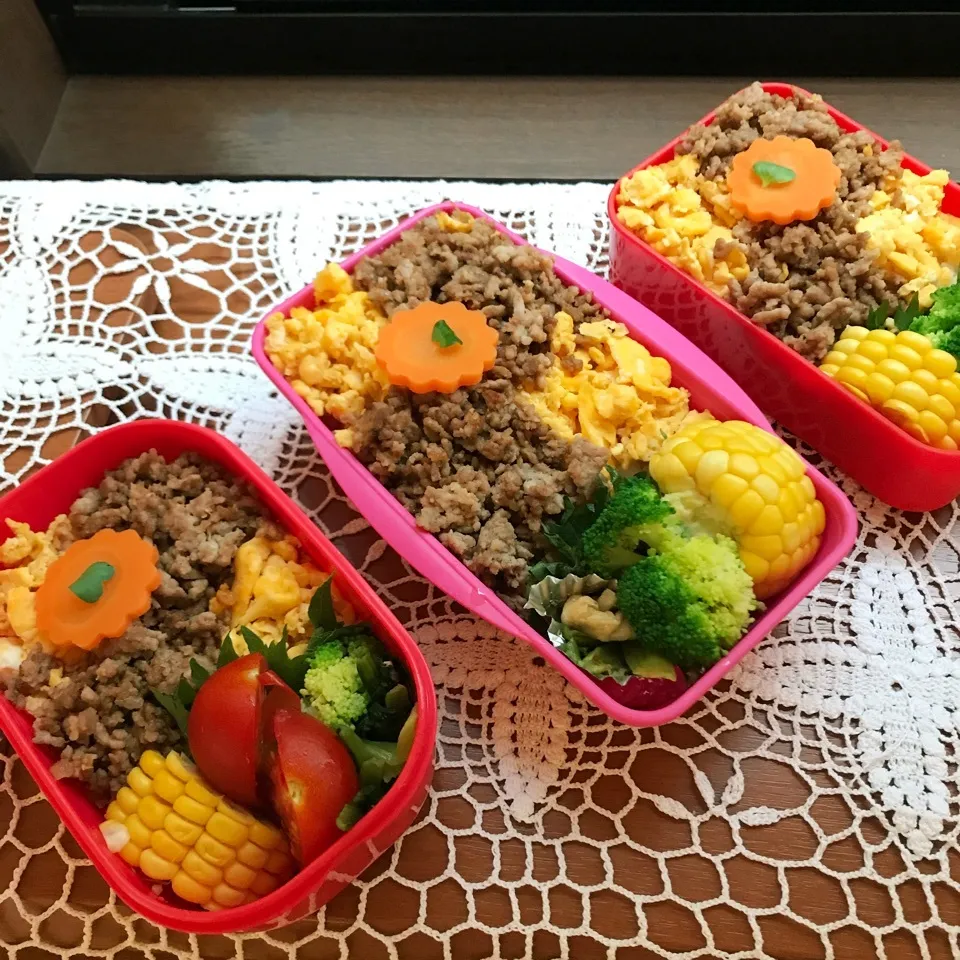 6.18 今日のお弁当|makipさん