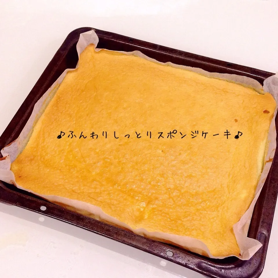 明日のお楽しみ! 夜な夜な焼き立て〜スポンジケーキ〜|ぷらっとさん