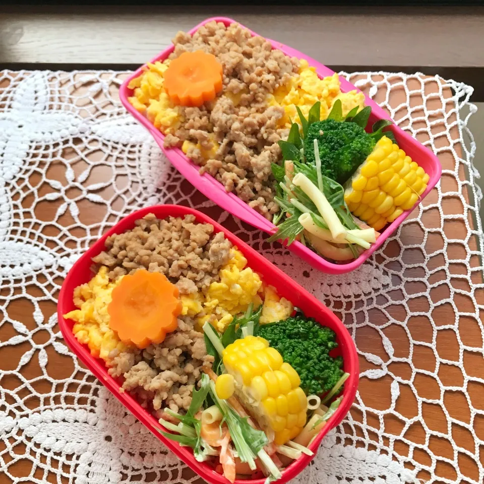 6.4 今日のお弁当|makipさん