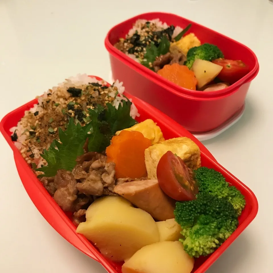 1.23今日のお弁当|makipさん